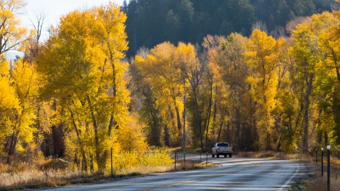 Fall-Leaves---WY-130---Carbon-County-_2_credit Wyoming Office of Tourism
